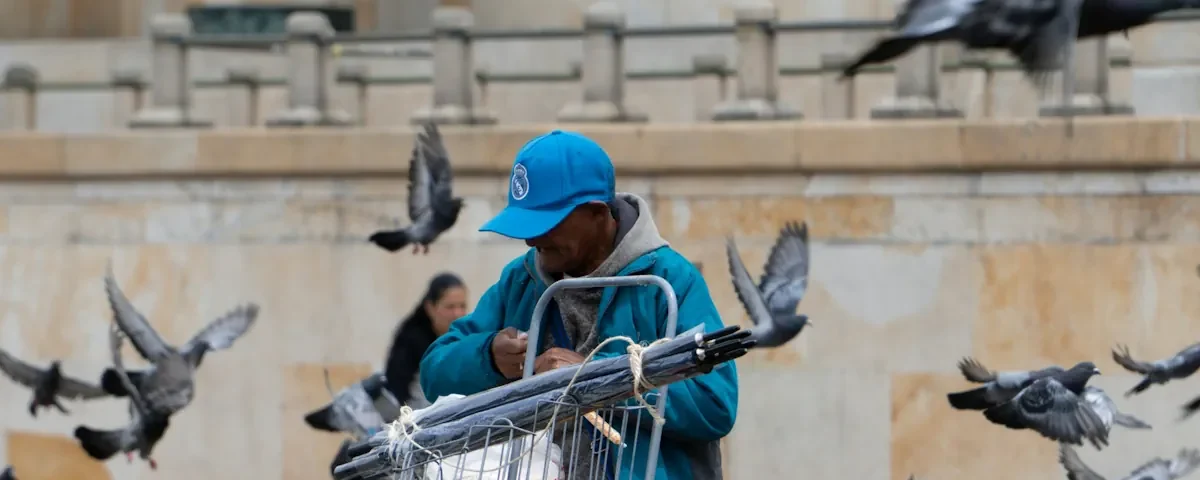 Latinamerikas otroliga fågelrikedom