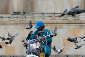 Latinamerikas otroliga fågelrikedom